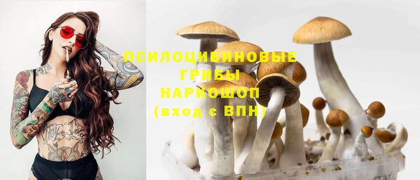 МДМА Дмитров