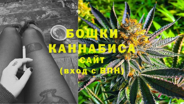 гидра Дмитриев