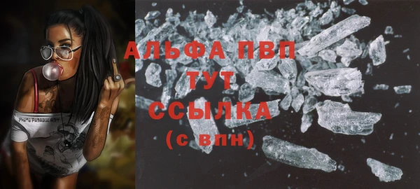 гидра Дмитриев